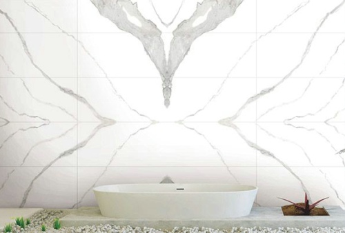 PADARA�ɴu�Ǆ���߀�������